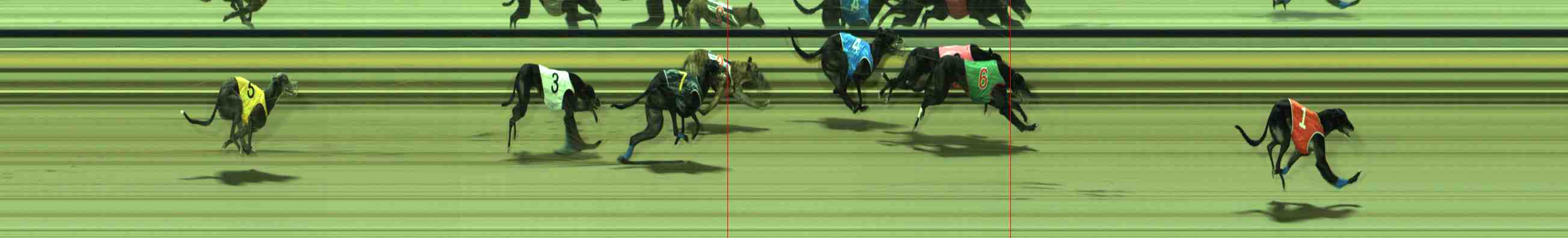 Photo finish for Sale Race 4