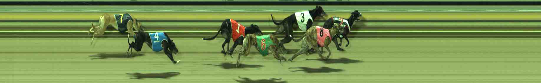 Photo finish for Sale Race 7