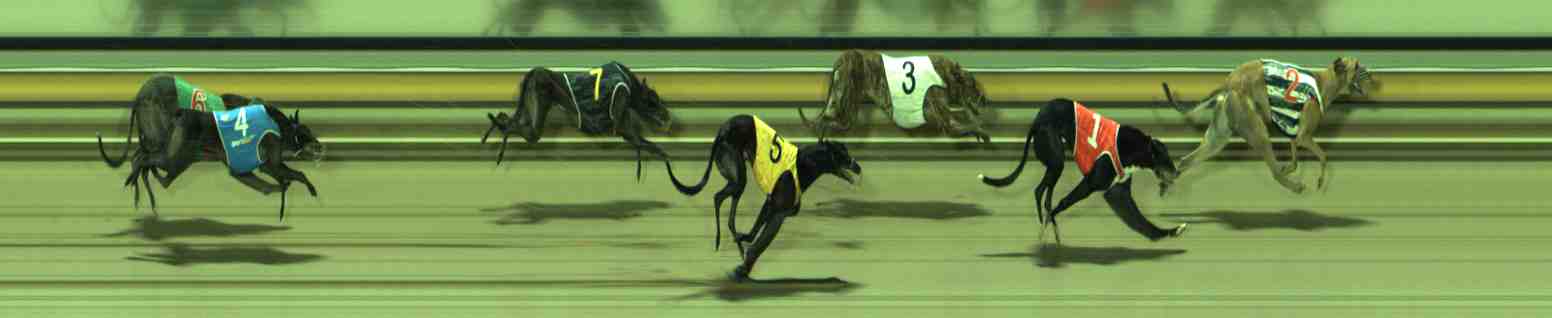 Photo finish for Sale Race 8