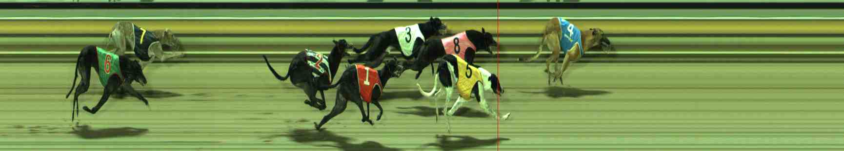 Photo finish for Sale Race 9