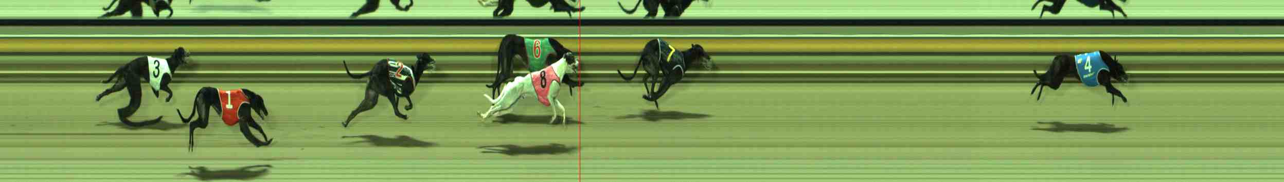 Photo finish for Sale Race 10