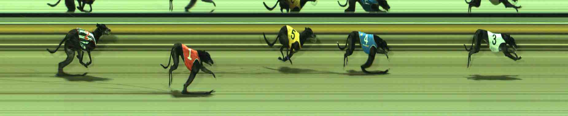 Photo finish for Sale Race 11