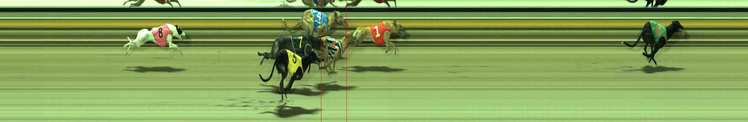 Photo finish for Sale Race 12