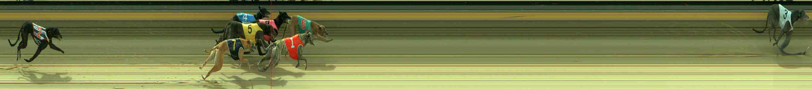 Photo finish for Sale Race 6