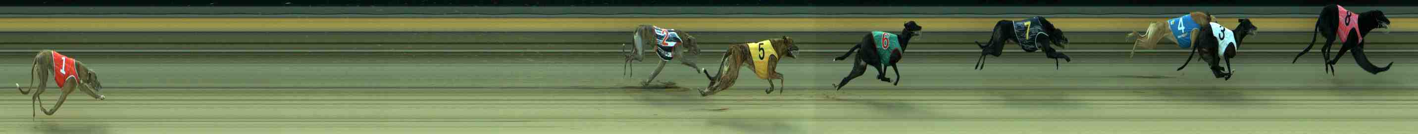 Photo finish for Sale Race 7