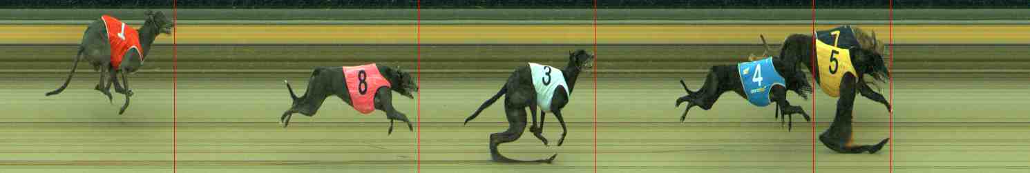 Photo finish for Sale Race 8