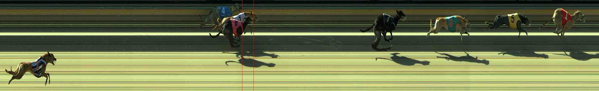 Photo finish for Sale Race 10