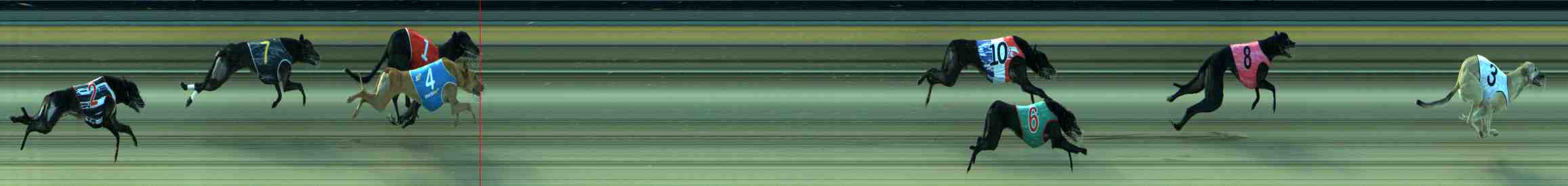 Photo finish for Sale Race 11