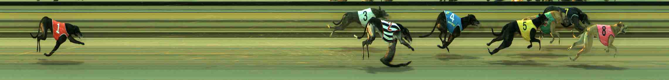Photo finish for Sale Race 1