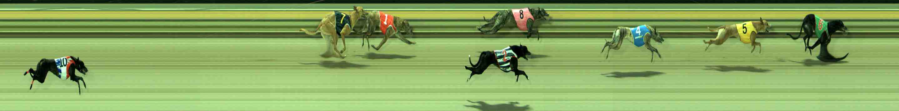 Photo finish for Sale Race 2