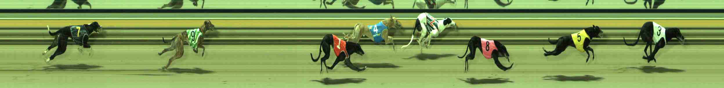 Photo finish for Sale Race 4