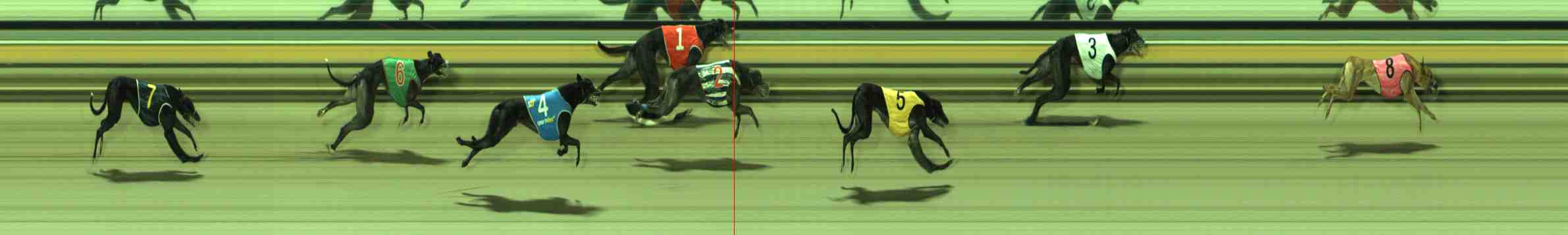 Photo finish for Sale Race 5