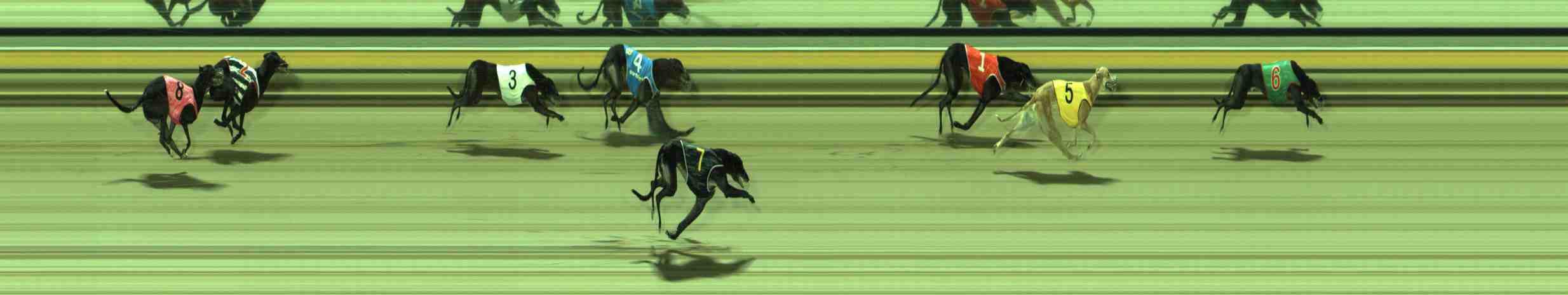 Photo finish for Sale Race 6