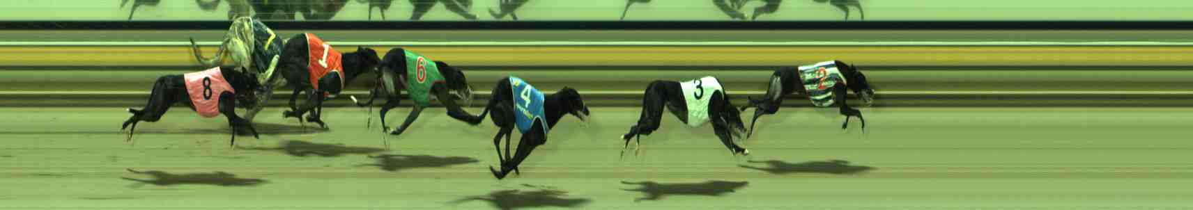 Photo finish for Sale Race 8