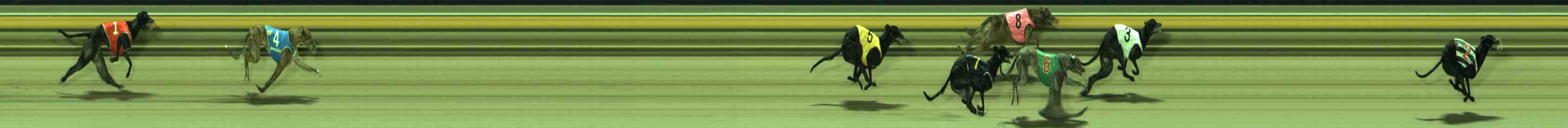 Photo finish for Sale Race 9