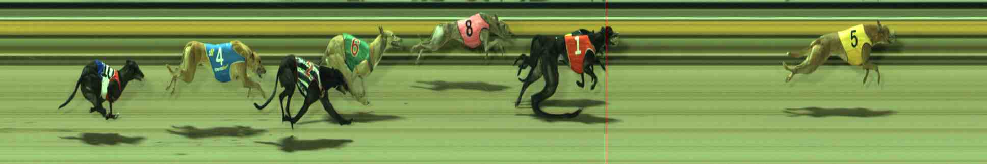 Photo finish for Sale Race 10