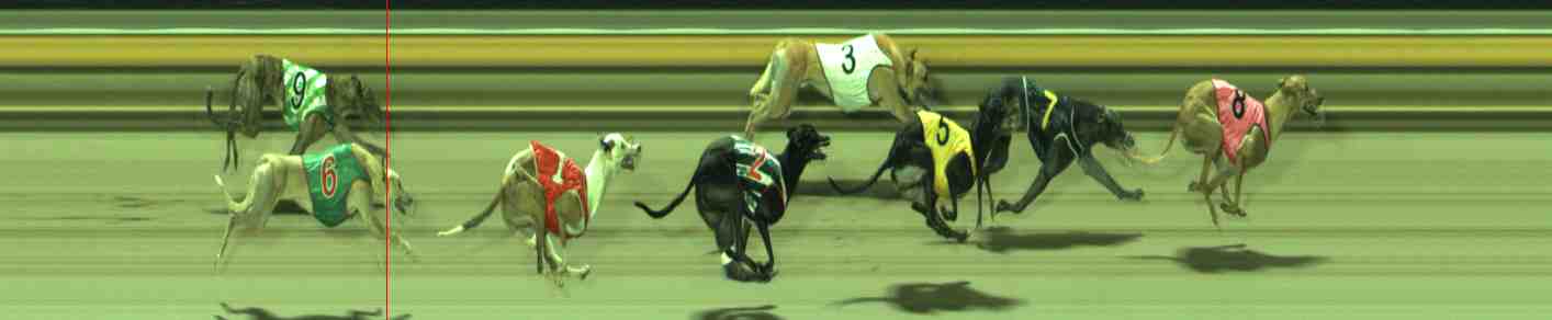 Photo finish for Sale Race 11