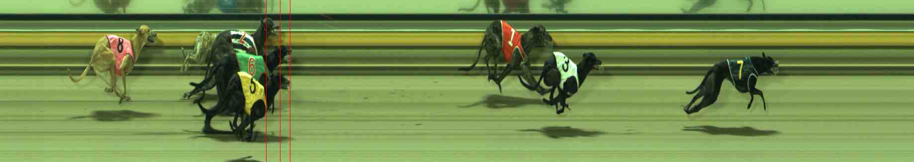 Photo finish for Sale Race 12