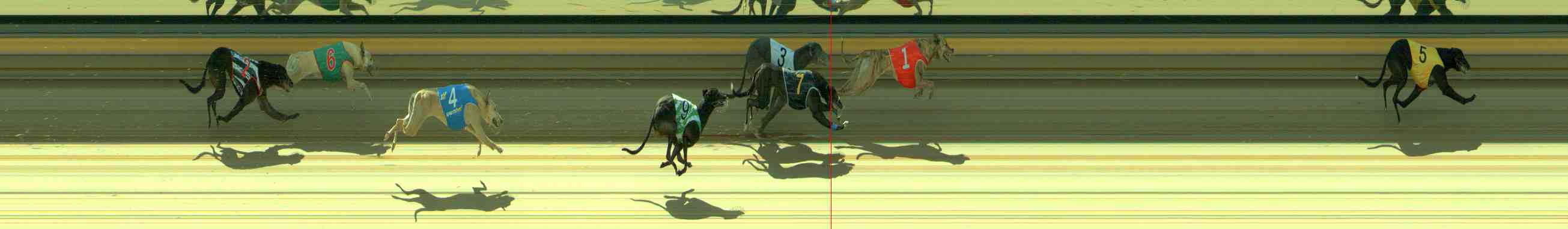 Photo finish for Sale Race 6