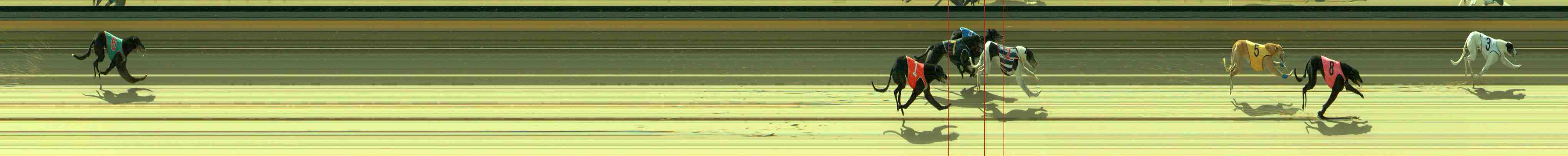 Photo finish for Sale Race 7