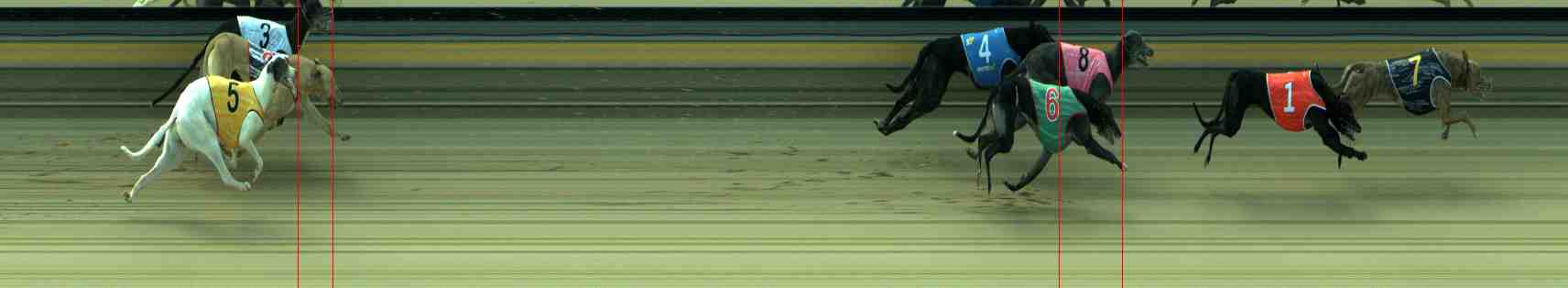 Photo finish for Sale Race 8