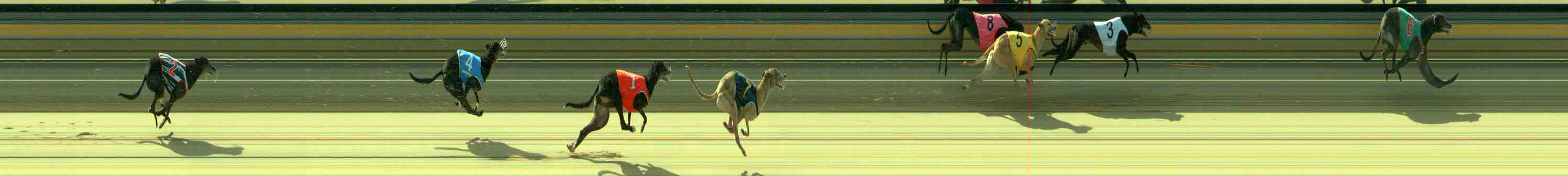 Photo finish for Sale Race 9