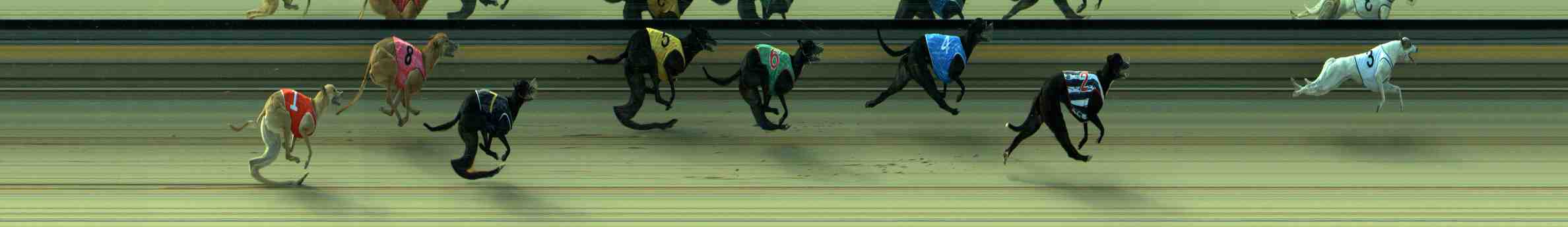 Photo finish for Sale Race 10