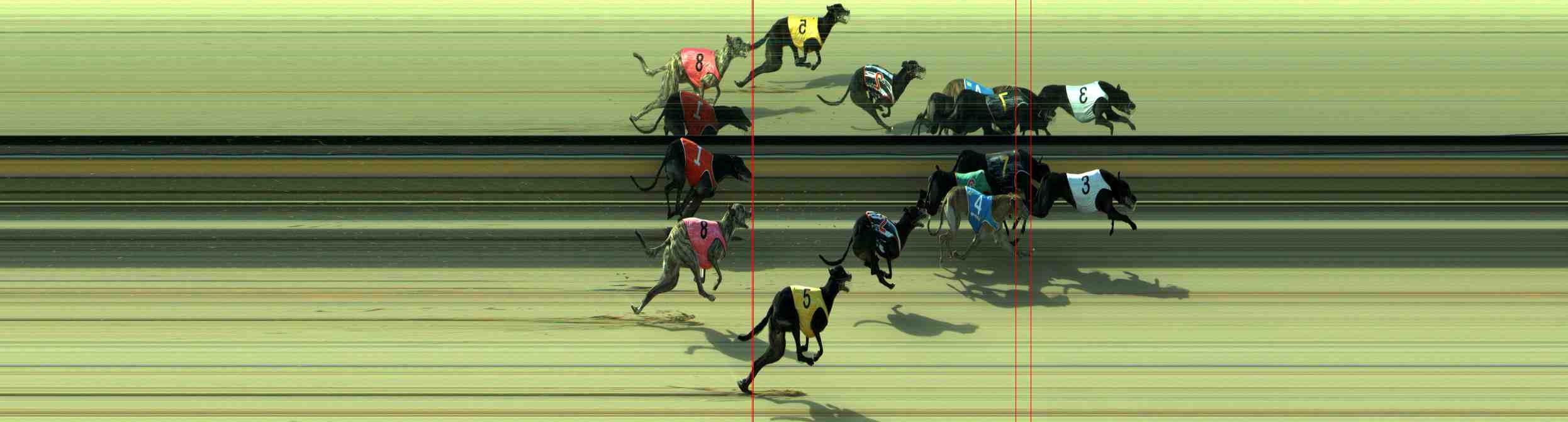 Photo finish for Sale Race 11
