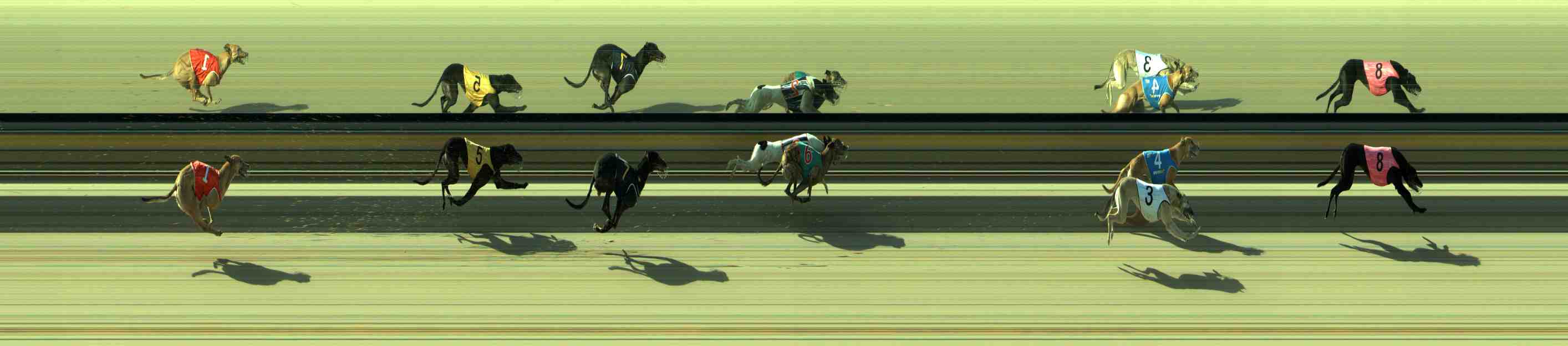 Photo finish for Sale Race 12