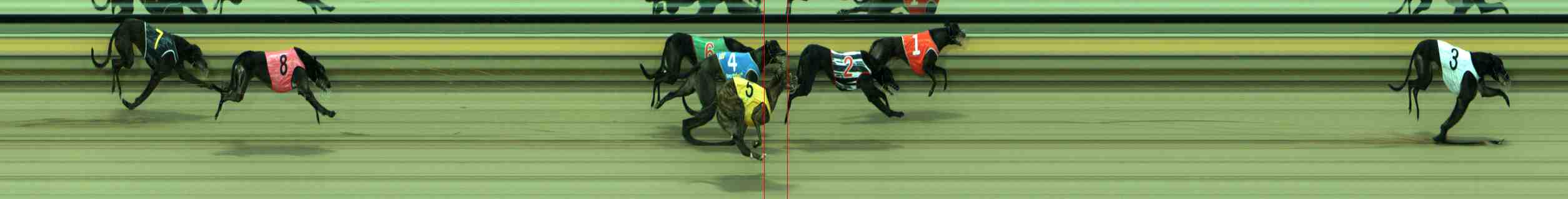Photo finish for Sale Race 1