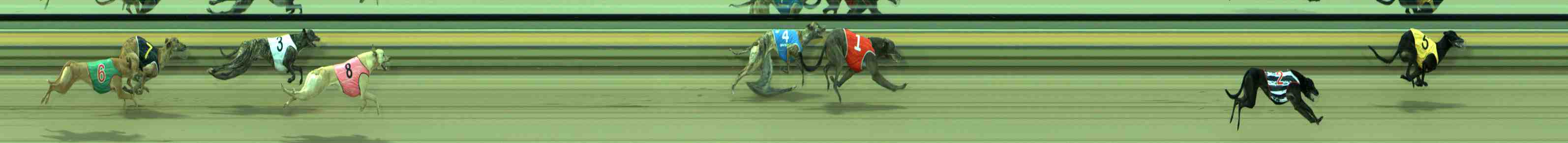 Photo finish for Sale Race 2