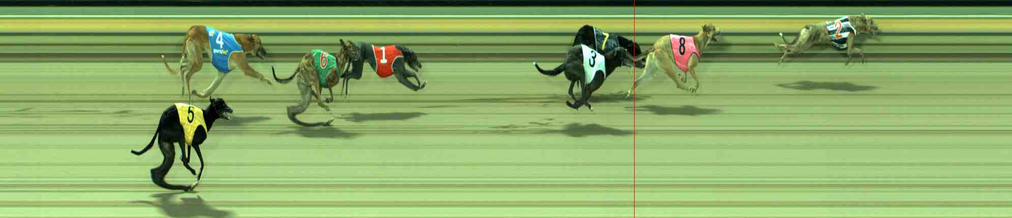 Photo finish for Sale Race 3