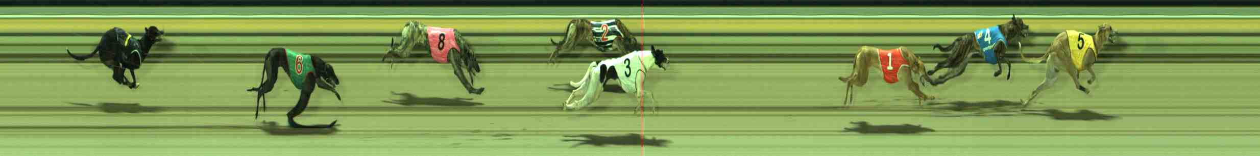 Photo finish for Sale Race 4