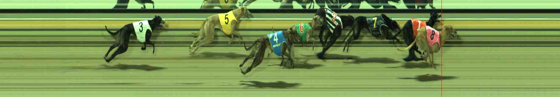 Photo finish for Sale Race 6