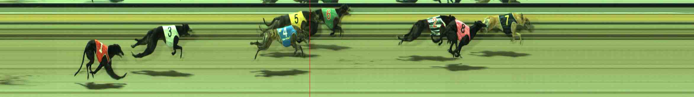 Photo finish for Sale Race 7