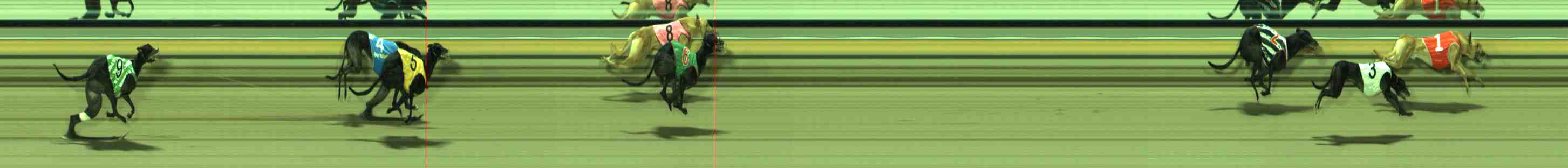 Photo finish for Sale Race 8