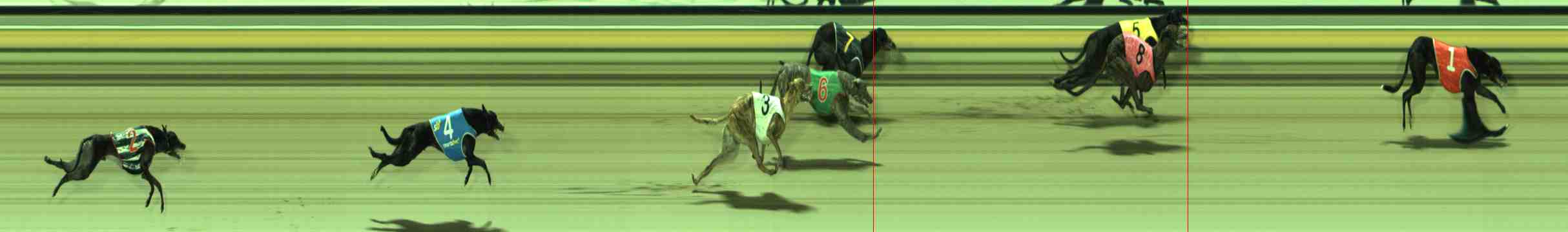 Photo finish for Sale Race 9