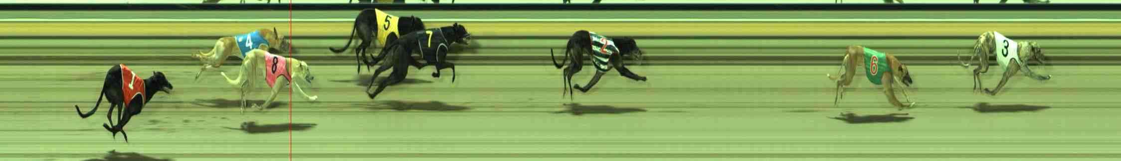 Photo finish for Sale Race 10