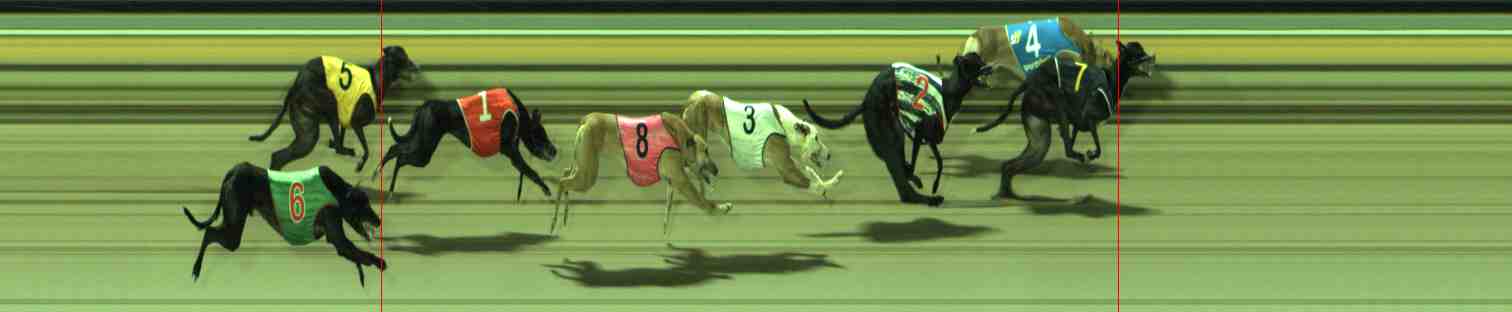 Photo finish for Sale Race 11
