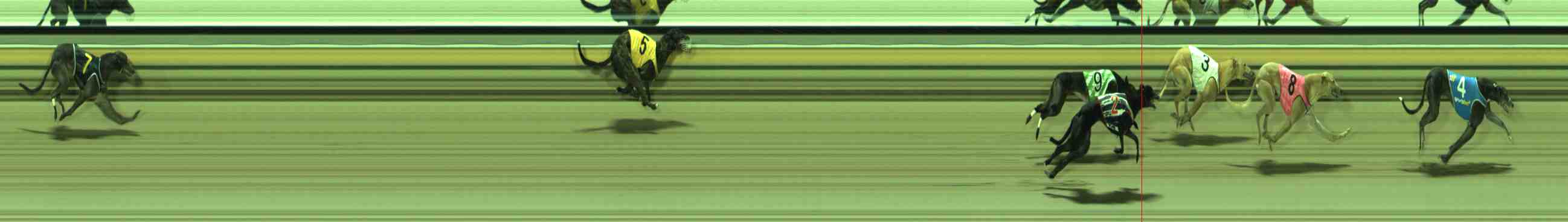Photo finish for Sale Race 12