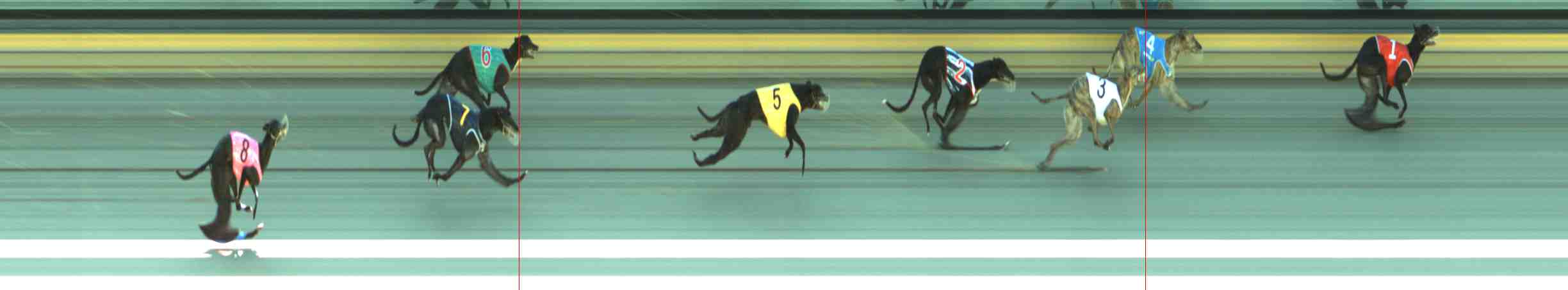 Photo finish for Sale Race 1