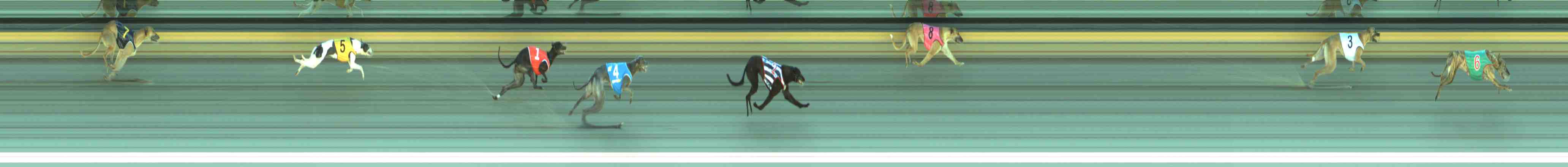 Photo finish for Sale Race 2