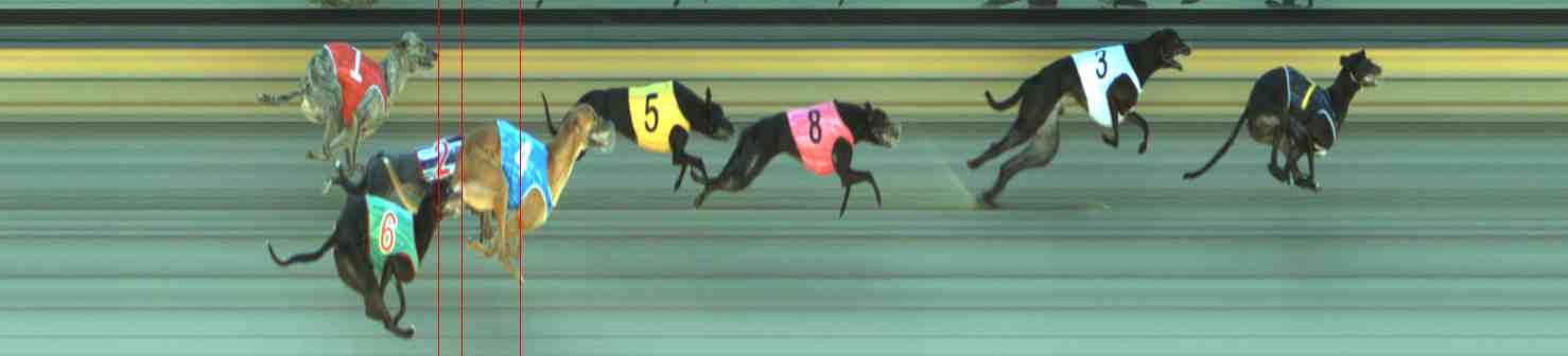 Photo finish for Sale Race 3