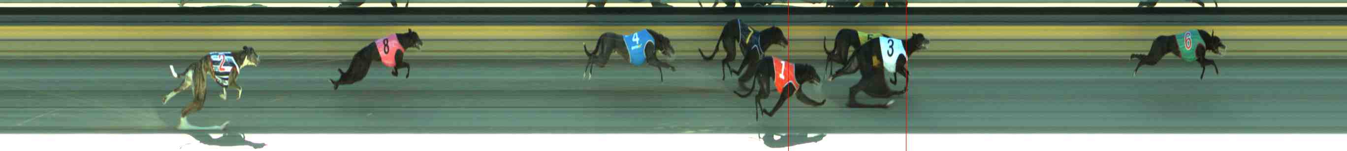 Photo finish for Sale Race 4