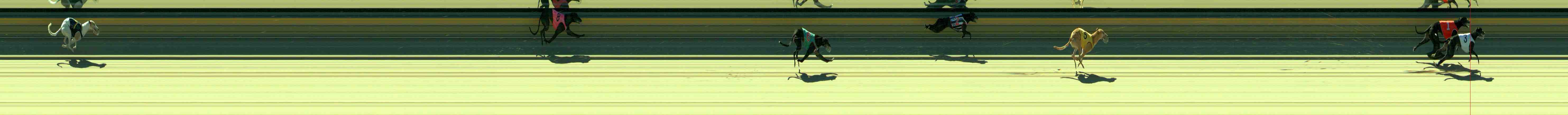 Photo finish for Sale Race 6