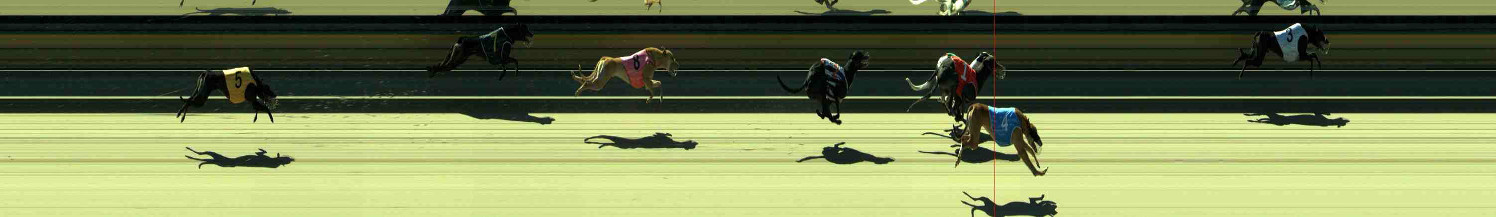 Photo finish for Sale Race 7