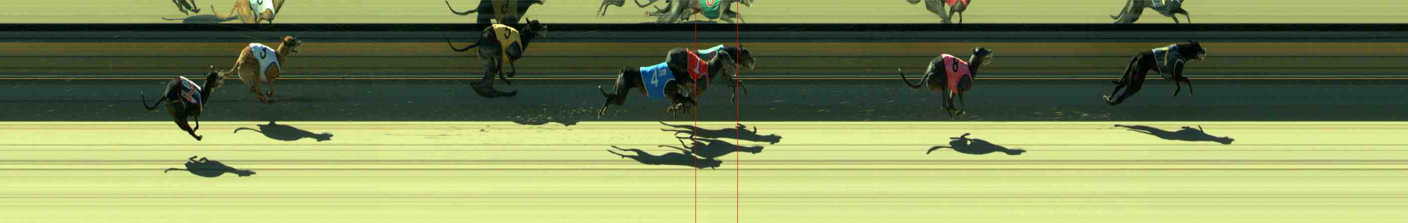 Photo finish for Sale Race 8