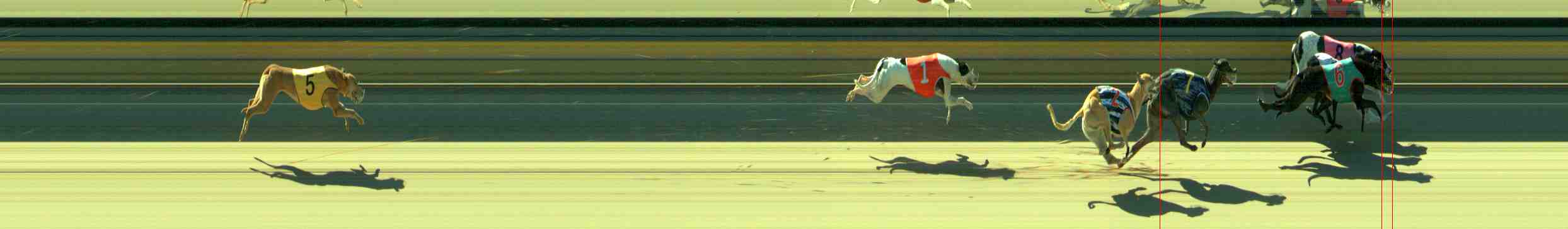 Photo finish for Sale Race 9