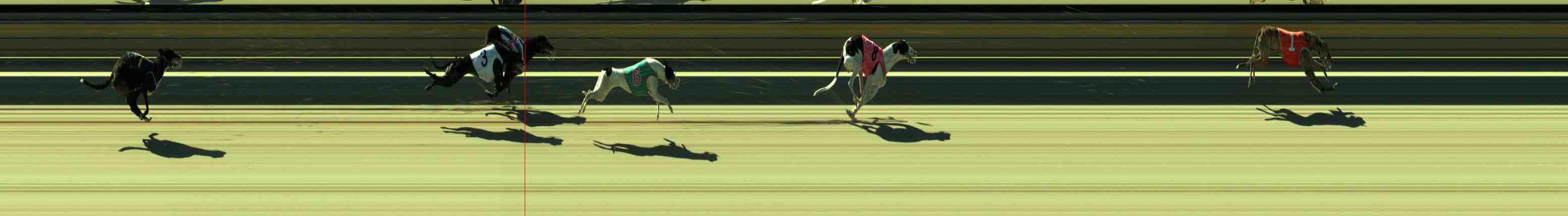 Photo finish for Sale Race 10