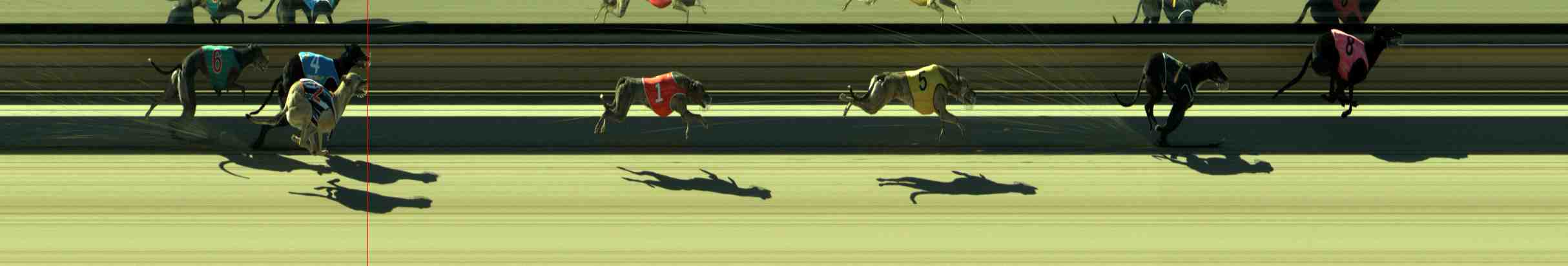 Photo finish for Sale Race 11